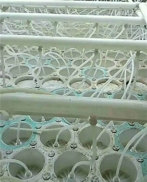 Ó�����ȳ��F��